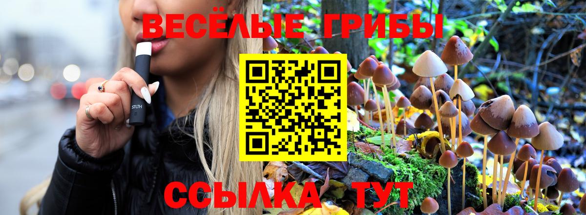 купить наркоту  Вход с VPN  Магнитогорск  Галлюциногенные грибы GOLDEN TEACHER 