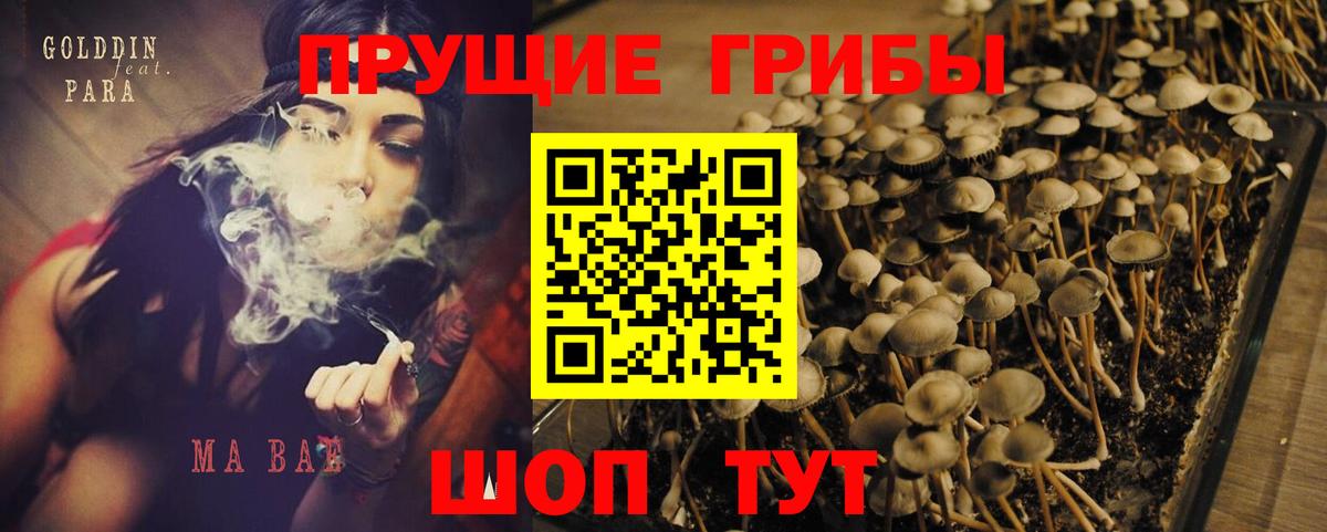 Псилоцибиновые грибы прущие грибы Магнитогорск